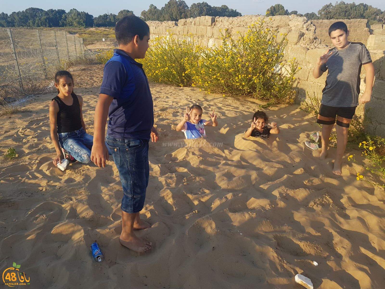 robenerejq (37).jpeg